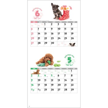 注文コード:82301095 【名入れ】DOG・DOG・DOG ミシン目入り - レスタス