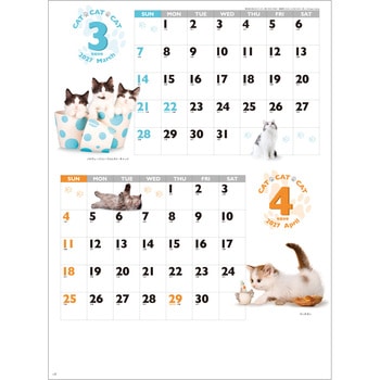 注文コード:82301199 【名入れ】CAT・CAT・CAT - レスタス