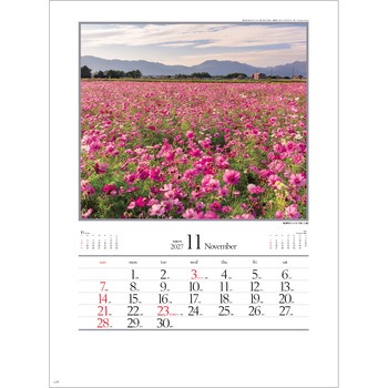 注文コード:82301330 【名入れ】四季十二彩 - レスタス