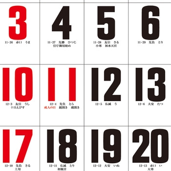 注文コード:82301646 【名入れ】デラックス文字 - レスタス