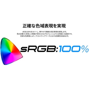 注文コード:82361198 液晶ディスプレイ 34型/3440×1440/HDMI×1、DP×1、USB-C×1/ブラック/スピーカー有/2年保証 - JAPANNEXT