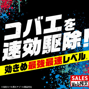 注文コード:82491039 GiDORAX ギドラクス コバエ用スプレー 330mL - アース製薬