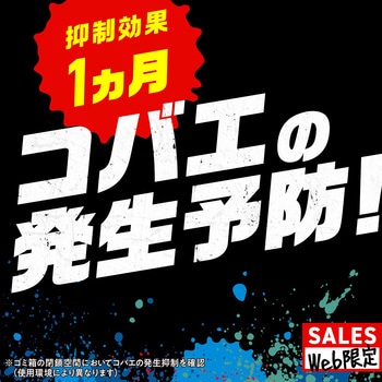 注文コード:82491039 GiDORAX ギドラクス コバエ用スプレー 330mL - アース製薬