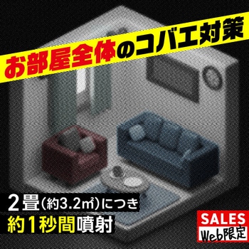 注文コード:82491039 GiDORAX ギドラクス コバエ用スプレー 330mL - アース製薬