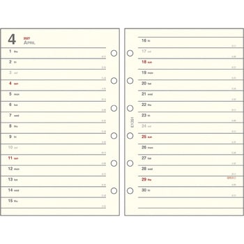 注文コード:82523641 2027 ミニ6リフィル 1Mホリゾンタル - ダイゴー