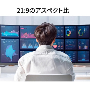 注文コード:82548457 液晶ディスプレイ 34型/3440×1440/HDMI×2、DP×1/ブラック/スピーカー有/2年保証 - JAPANNEXT