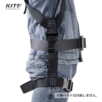 注文コード:82571767,82573788,82557801,82567619,82568441,82581497,82582398,82575136,82553777,82551205,82558756 KITEハーネス ハーネス本体のみ D環付き - ツヨロン(藤井電工)