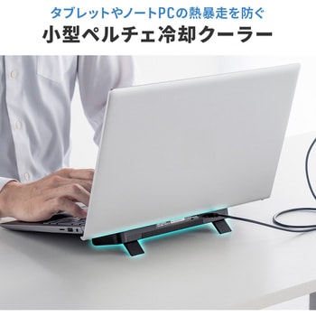注文コード:82733817 クーラー ノートパソコン用 ペルチェ素子 - サンワダイレクト