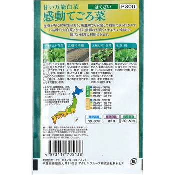 注文コード:82769115 【種 たね タネ】甘い万能 白菜 感動 てごろ菜 はくさい - アタリヤ農園