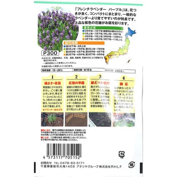 注文コード:82769185 【種 たね タネ】フレンチラベンダー パープル - アタリヤ農園