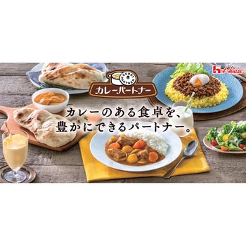 注文コード:82770978 カレーパートナーフォンドボーペースト - ハウス食品
