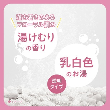注文コード:82820660 きき湯 クレイ重曹炭酸湯 パウチ 2個セット - バスクリン