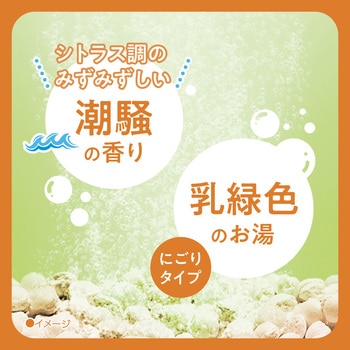 注文コード:82820669 きき湯 食塩炭酸湯 パウチ 2個セット - バスクリン
