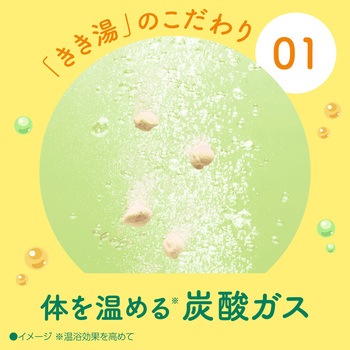 注文コード:82820669 きき湯 食塩炭酸湯 パウチ 2個セット - バスクリン