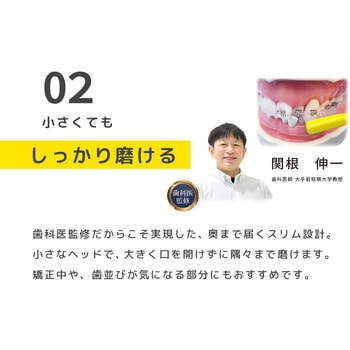 注文コード:82828755 チョコっとミニハブラシ - ヤマトエスロン