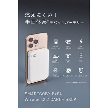 注文コード:83052807 SP SMARTCOBY Ex04 Wireless2.2 CABLE SS5K ホワイト - CIO