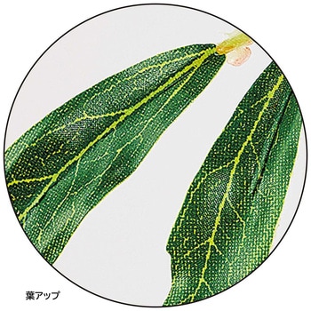 注文コード:83119761 マホニアコンフューサ(人工樹木)〔ストエキオリジナル〕 - ストア・エキスプレス