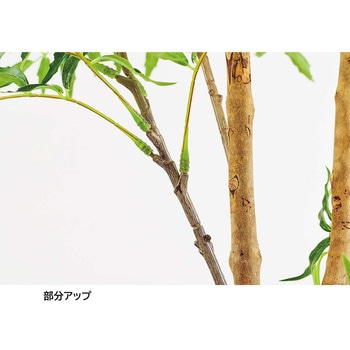 注文コード:83119761 マホニアコンフューサ(人工樹木)〔ストエキオリジナル〕 - ストア・エキスプレス