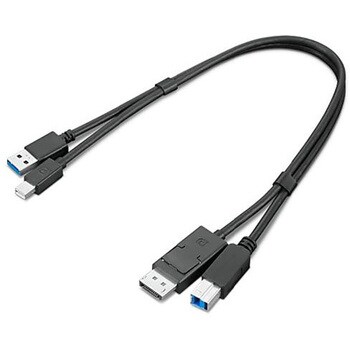 4X91D11453 ThinkStation Mini DisplayPort USB 1個 レノボジャパン Lenovo 通販モノタロウ