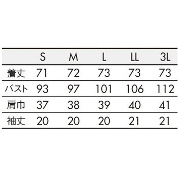 注文コード:84783924,84783940,84783949,84783958,84783967,84783976,84783985,84783994,84784010,84784019 ナースジャケット 半袖 住商モンブラン