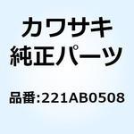 221AB0508 (I/X)サラコネジ(+ジアナ) 5X8 221AB0508 Kawasaki