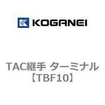 TBF10 TAC継手 ターミナル コガネイ