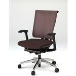 セレーオ チェア メッシュバック 固定肘 ハンガー アルミ脚<配送時組立サービス付> イトーキ