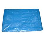 #2000ブルーシート モノタロウ