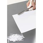 シュレッダーはさみ CAINZ(カインズ)