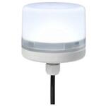 RS PRO LED信号灯 LED灯白 24 V dc RS PRO