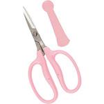 アレンジディオ 近正