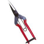 T-601 采園鋏 近正