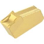 A SG突/チップCMT イスカル