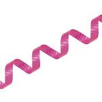 3716 カーリングリボン 13 濃ピンク cotta