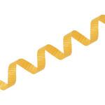 3717 カーリングリボン 02 黄 cotta