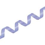 3727 カーリングリボン 25 薄紫 cotta