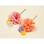 40461 パトリダリア 2色アソート cotta