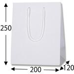 42129 プレーンCB 20-12 スノーホワイト cotta