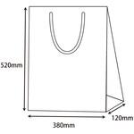 42132 ブライトバッグ KA 紫紺 cotta