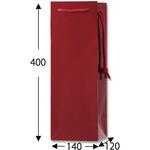 42205 ブライトバッグ ワインLL エンジ cotta