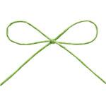 71779 パピエール27 フレッシュグリーン cotta