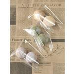 72576 OPPクリスタルパック S7-10 cotta