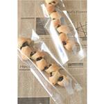 72588 OPPクリスタルパック S10-28 cotta