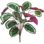 FG000132 エクステリアカラテアブッシュ MAGIQ(東京堂)