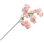 FM000384 たわわ山桜 MAGIQ(東京堂)