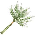 マリーラベンダーピック MAGIQ(東京堂)