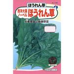 【タネ】西洋大葉ノーベル ほうれん草 ウタネ