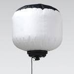 LEDバルーンライト エアグロウ ライトのみ 640W 480W 320W 専用ケース付き 三脚別売り 虫を防ぐフィルター付き GOODGOODS(グッド・グッズ) LEDバルーンライト エアグロウ ライトのみ 640W 480W 320W 専用ケース付き 三脚別売り 虫を防ぐフィルター付き GOODGOODS(グッド・グッズ)