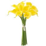 カラーリリーバンドル MAGIQ(東京堂)