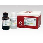 ECL試薬 アズワン